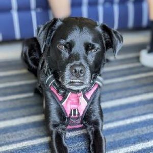 Meet your Posher, Teagan